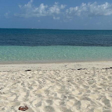 Villa Albatros Oceanfront Luxury Hotelzone Cancún Exteriör bild