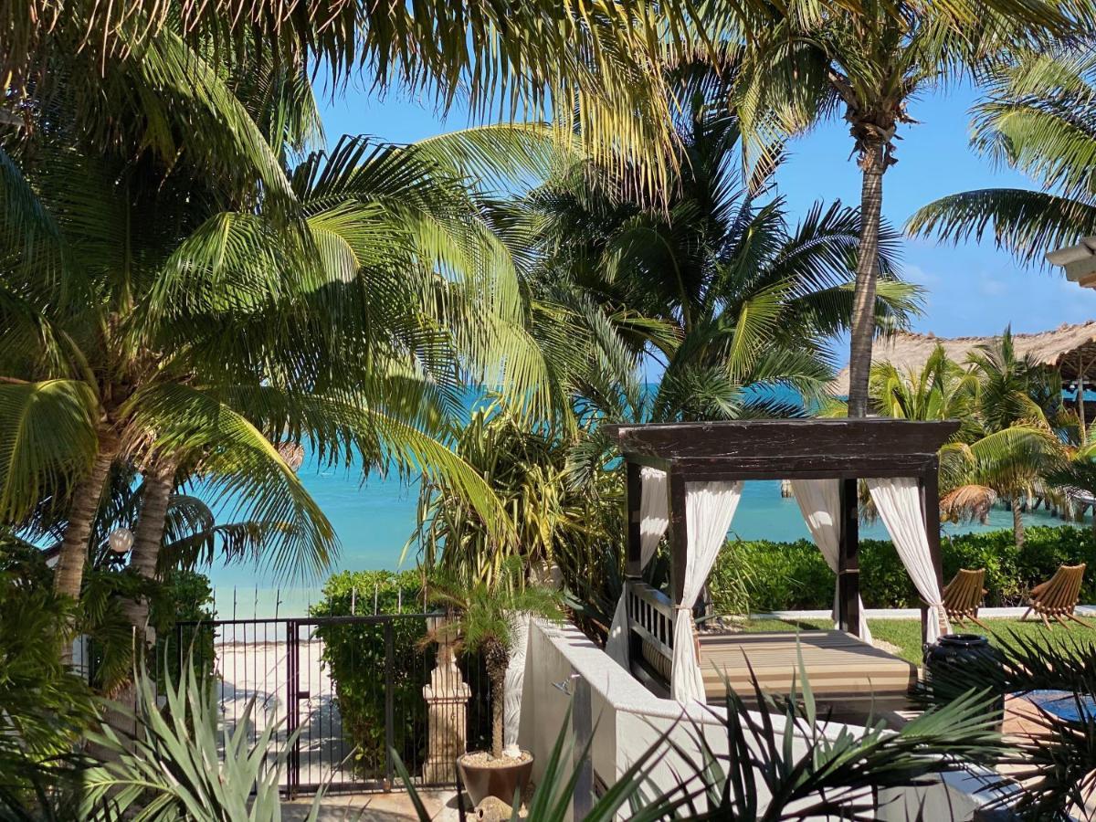 Villa Albatros Oceanfront Luxury Hotelzone Cancún Exteriör bild