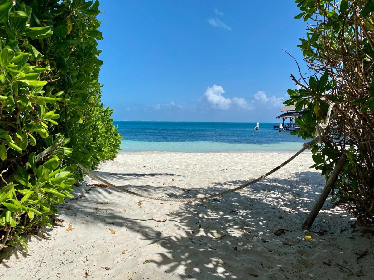 Villa Albatros Oceanfront Luxury Hotelzone Cancún Exteriör bild