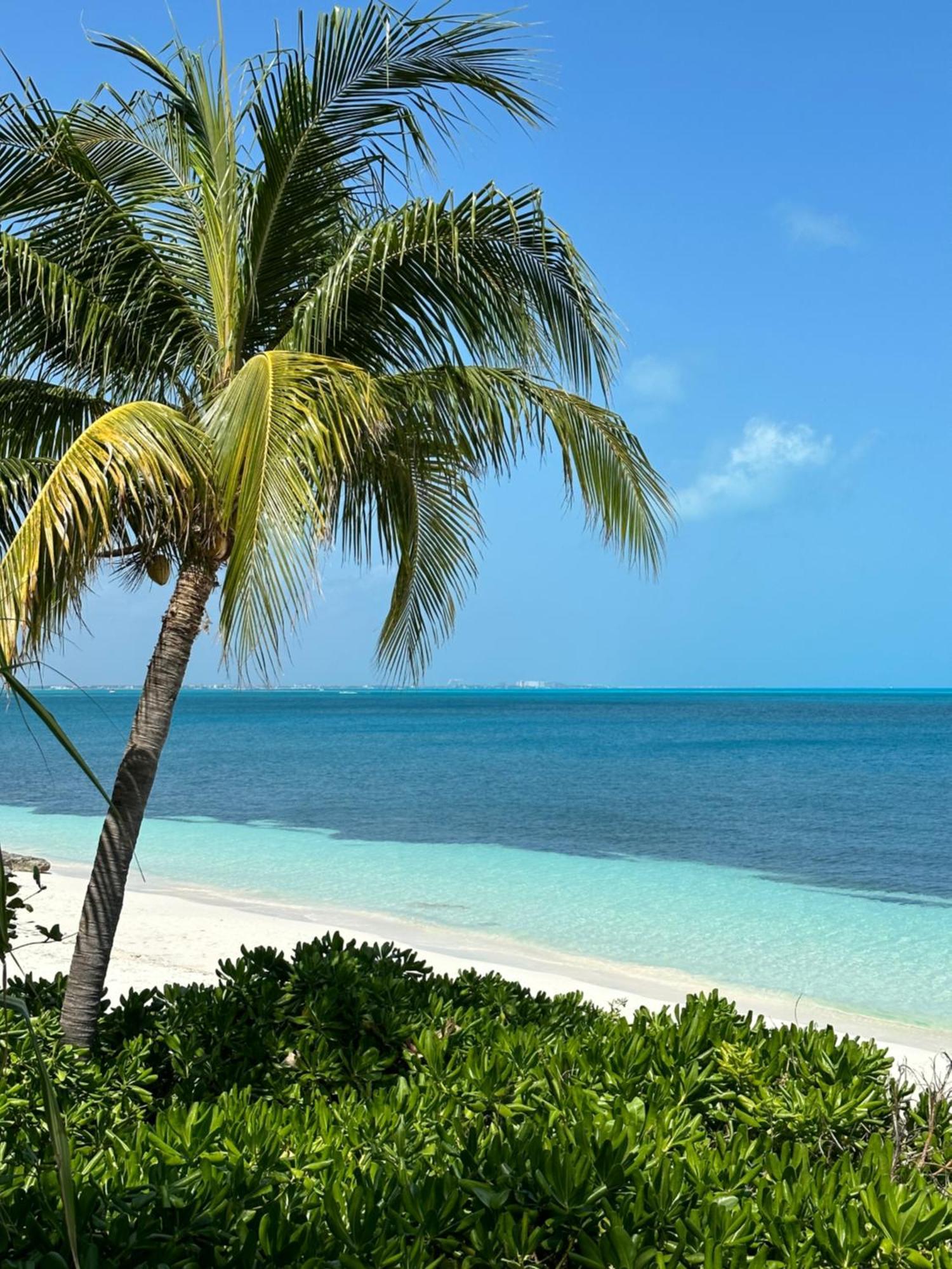 Villa Albatros Oceanfront Luxury Hotelzone Cancún Exteriör bild